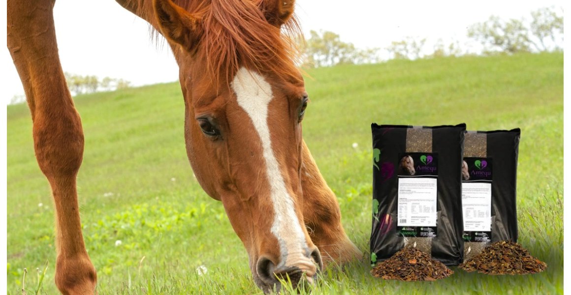 Nyheder fra Dangro! GastriPreWork!