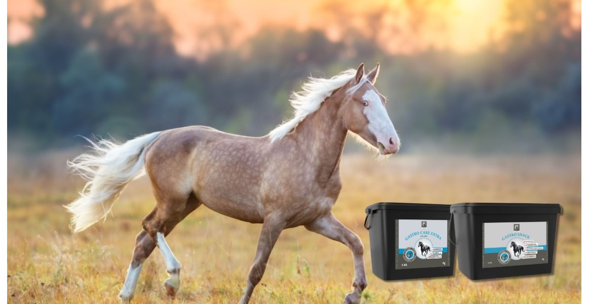 2 nyheder fra Equsana!