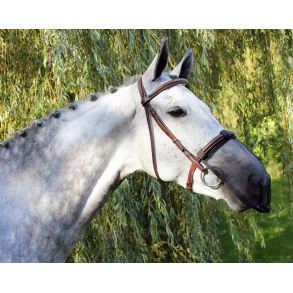 QHP Mulenet - begrnset antal