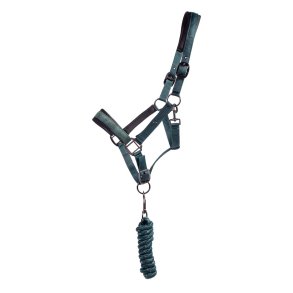 QHP Grime med trktov - Astana - udgr