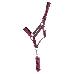 QHP Grime med trktov - Astana - udgr