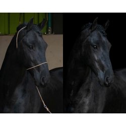 QHP Fotografi Trktov/Grime