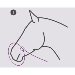 QHP Fotografi Trktov/Grime