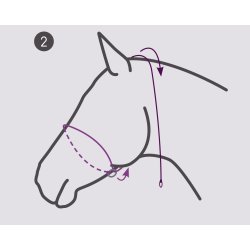 QHP Fotografi Trktov/Grime