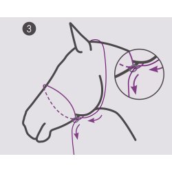 QHP Fotografi Trktov/Grime