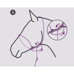 QHP Fotografi Trktov/Grime