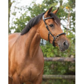 QHP Lder Kapsun i sort