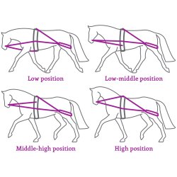 QHP Trningssystem til longering sort