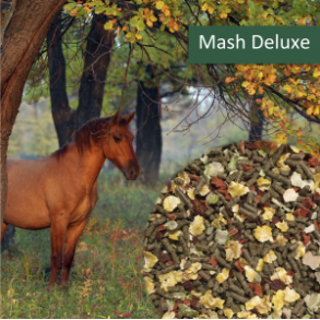 NAG HorsePro Mash Deluxe