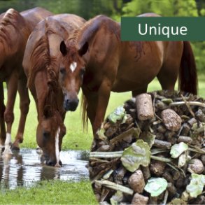 NAG HorsePro Unique 20 kg