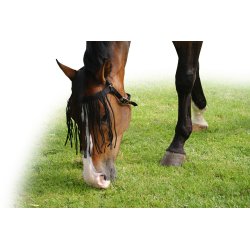 QHP Fluepandebnd til uden brug af grime - begrnset antal