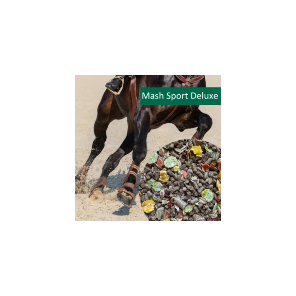 NAG HorsePro Mash Sport Deluxe
