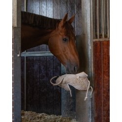 QHP Hestelegetj - Gr Hest