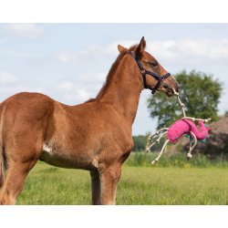 QHP Hestelegetj - Lyserd Unicorn