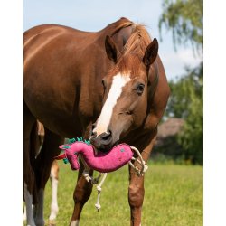 QHP Hestelegetj - Lyserd Unicorn