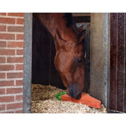 QHP Hestelegetj - XL Gulerod