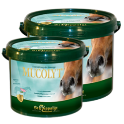 St. Hippolyt Mucolyt