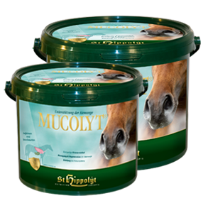 St. Hippolyt Mucolyt