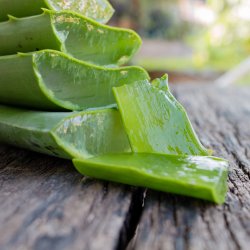 Nathalie Horsecare Aloe Vera Gel