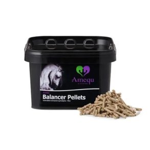 Amequ by Dangro Balancer Pellets