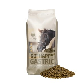 Amequ by Dangro GO' Happy Gastric 15 kg.