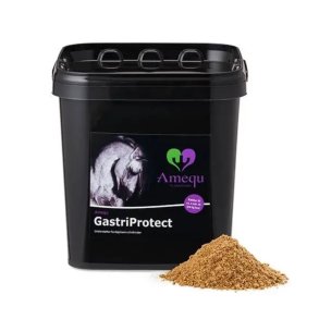 Amequ by Dangro GastriProtect