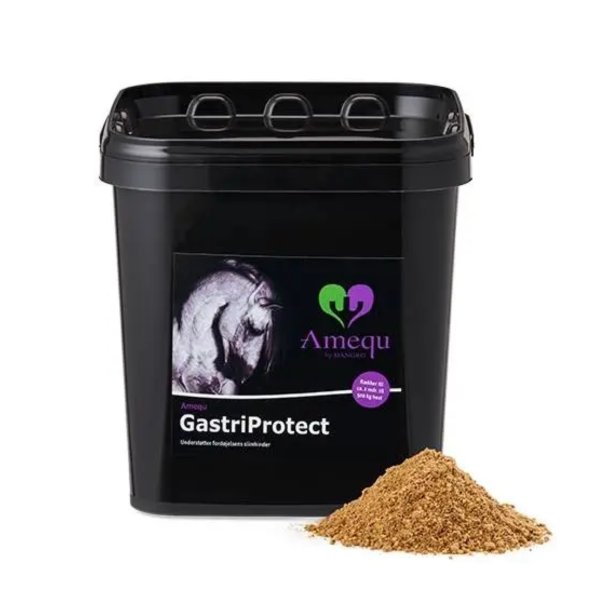 Amequ by Dangro GastriProtect