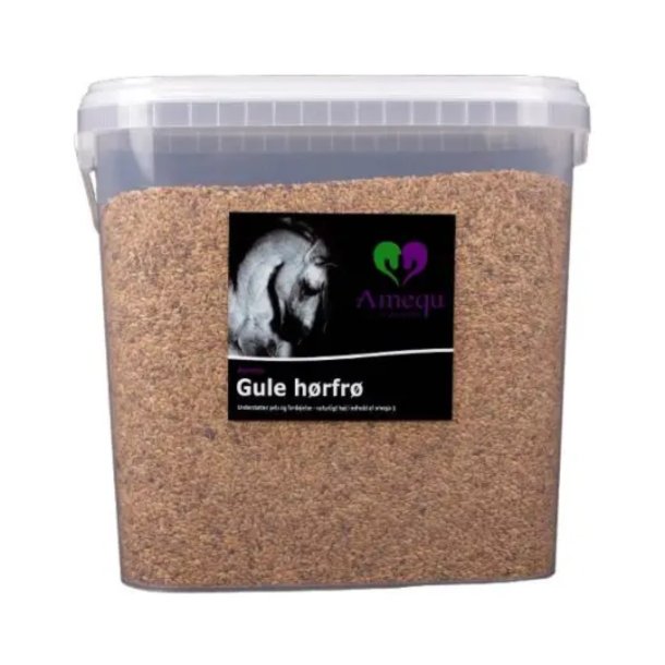 Amequ by Dangro Gule Hrfr