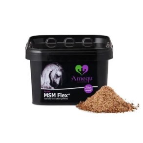 Amequ by Dangro MSM Flex+