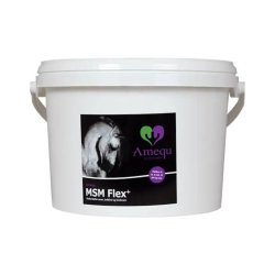 Amequ by Dangro MSM Flex+