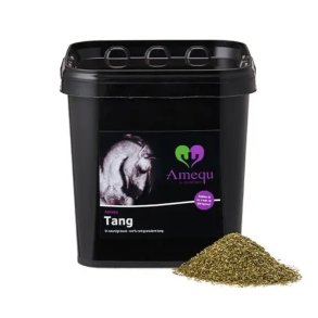 Amequ by Dangro Tang