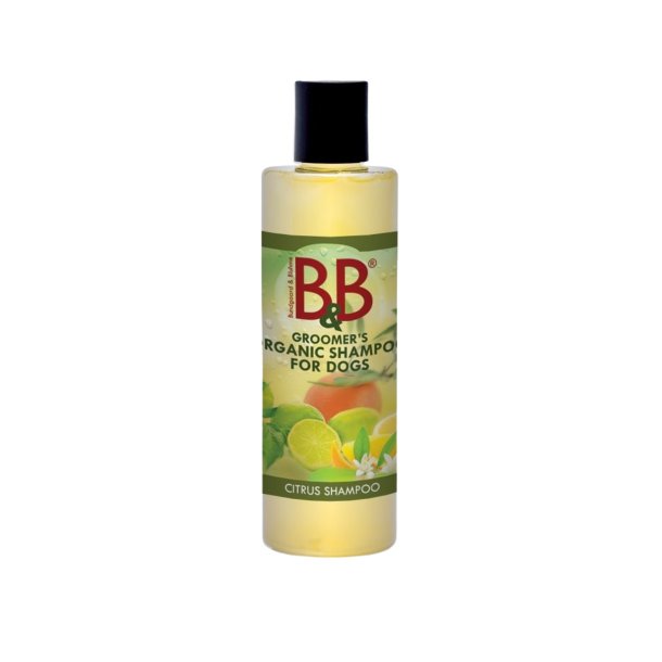 B&B kologisk Citrus Shampoo
