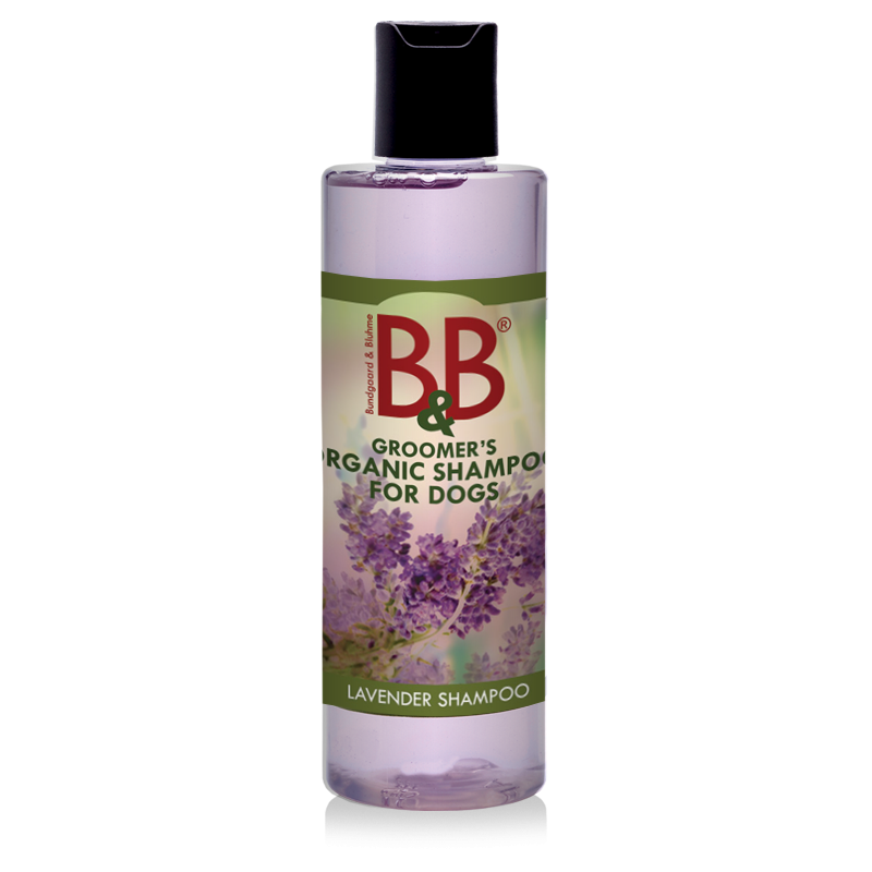 B&B Shampoo Med Lavendel - B&B Økologisk Hundeshampoo - Støvlsig Hestefoder