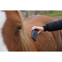 Excellent Grooming B�rste