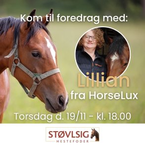 Billet til foredrag med Lillian fra HorseLux 