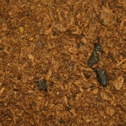 Nordic Horse Xtra Energy