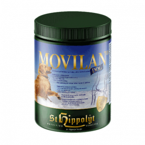 St. Hippolyt Movilan DOG