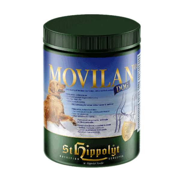 St. Hippolyt Movilan DOG