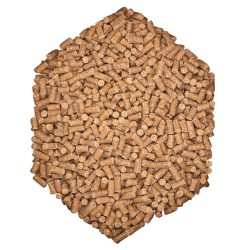 St. Hippolyt Muscle Gard