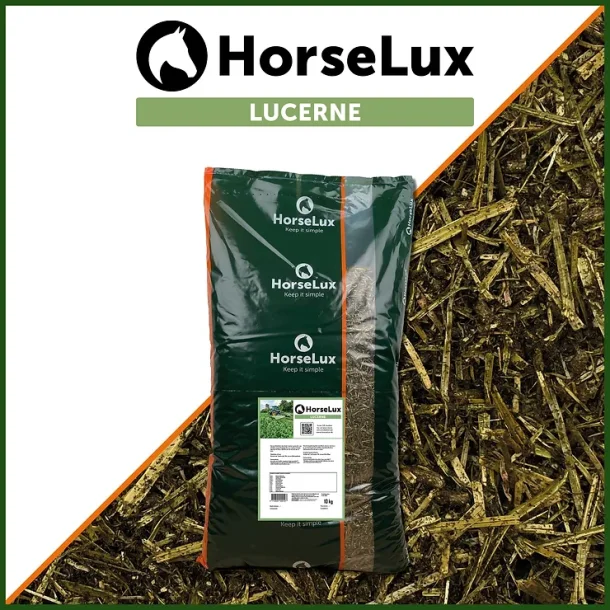 HorseLux Lucerne 