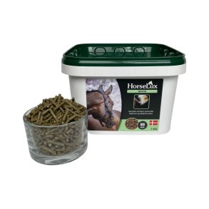 HorseLux Biotin 1 kg