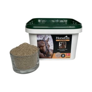 HorseLux Elektrolytter