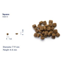 LIVE CAT Adult Neutered Fisk