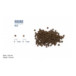 LIVE CAT Kitten Kylling