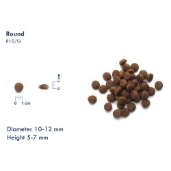 LIVE Puppy Kylling &amp; Ris