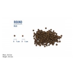 LIVE Mini Breeds Puppy Kalkun