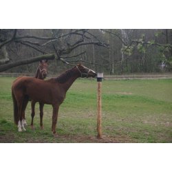 V Plast Slikstensholder til pl