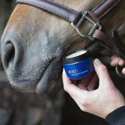 Nathalie Horsecare Mouth Fix
