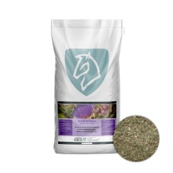 Nordic Horse Artiskok