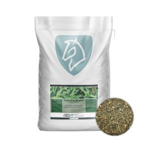 Nordic Horse Brndenlde